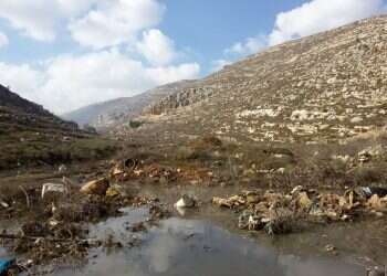 מה עם המים? הזיהום בנחלי ישראל צריך להתחיל להדאיג אותנו