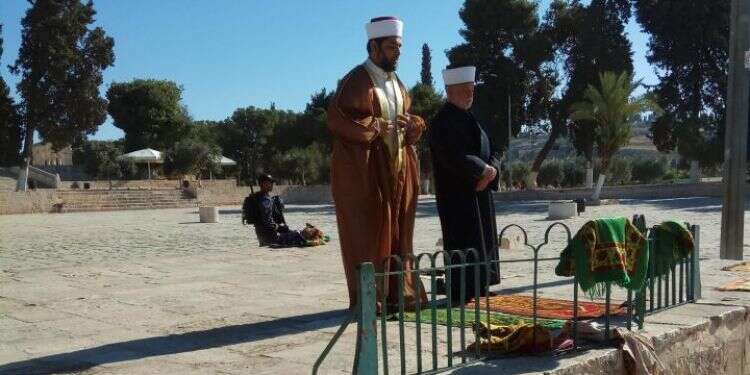 מנכ"ל אל־אקצה חסין ממעצר