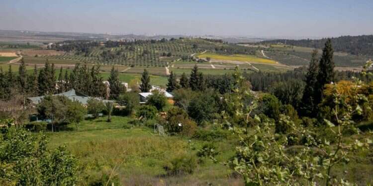 היה קשה אך בסוף הצלחנו: מה חושבים בנווה-שלום על המצב בארץ