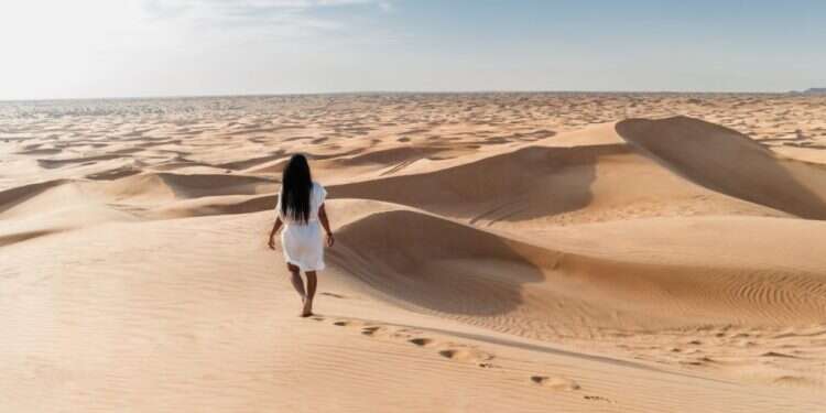 צילום: שאטרסטוק