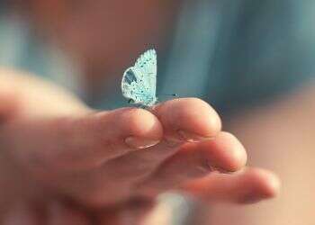 מהו אושר ואיך משיגים אותו?