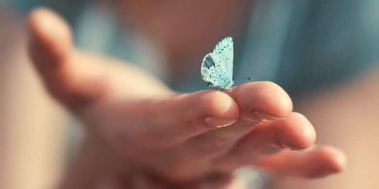 מהו אושר ואיך משיגים אותו?