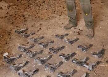 ההברחה שנכשלה: 24 אקדחים ו-80 אלף דינר נתפסו בגבול ירדן