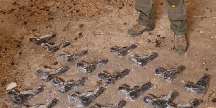 צילום: משטרת ישראל, מחוז צפון ההברחה שנכשלה: 24 אקדחים ו-80 אלף דינר נתפסו בגבול ירדן