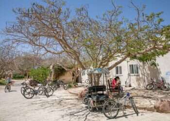 כאן כולם שווים: הקיבוץ שלא הולך בתלם