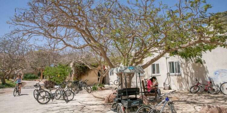 כאן כולם שווים: הקיבוץ שלא הולך בתלם