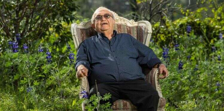 צילום: ברוך גרינברג "היטלר הבטיח לי טיול לאושוויץ ולא קיים"