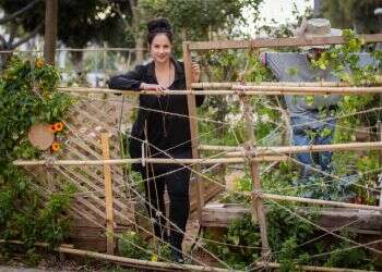 קום והתהלך: כנרת צור תנסה להוציא אתכם מהבית אל הטבע