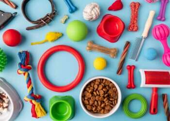 לא רק בית חם – רשימת ציוד לכלב שהצטרף למשפחה