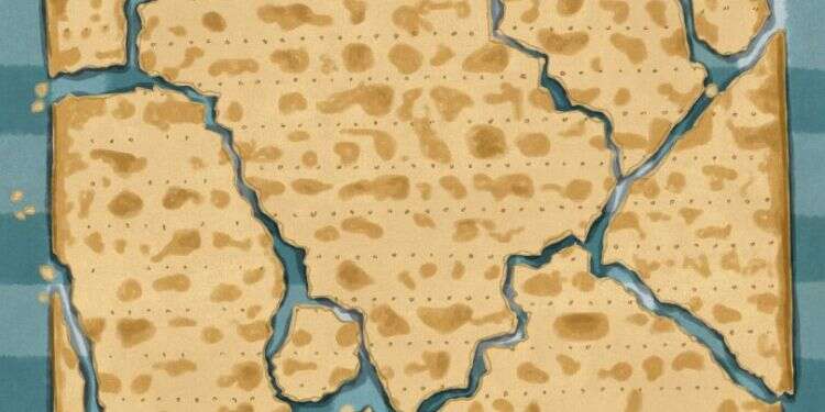 איור: שרון ארדיטי