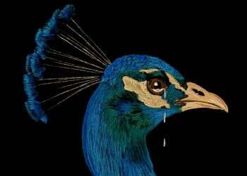 איור: שרון ארדיטי