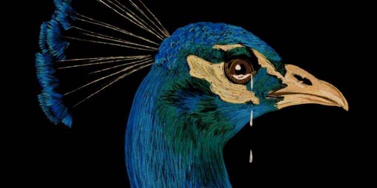 איור: שרון ארדיטי איור: שרון ארדיטי