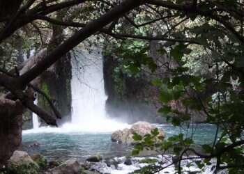 מה עם המים? הזיהום בנחלי ישראל צריך להתחיל להדאיג אותנו