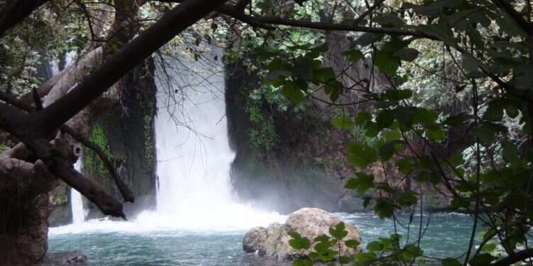 המצב בצפון טוב יותר. נחל הבניאס. צילום: אילן מלסטר, המשרד להגנת הסביבה מה עם המים? הזיהום בנחלי ישראל צריך להתחיל להדאיג אותנו