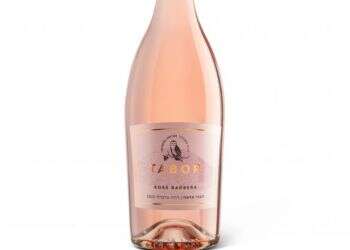 ארבעה יינות כנגד ארבעה בנים