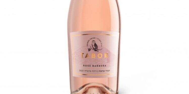 צילום: בועז אשכול ארבעה יינות כנגד ארבעה בנים