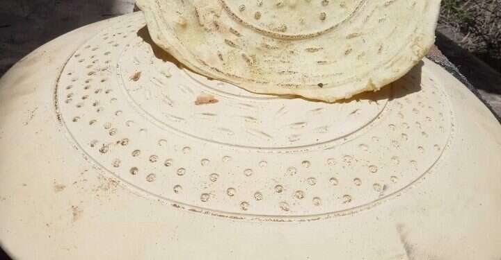 רקיקי מצות לכל דורש