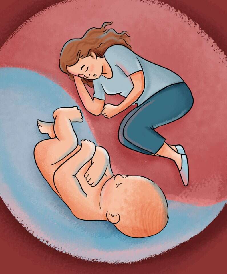 איור: נעמה להב