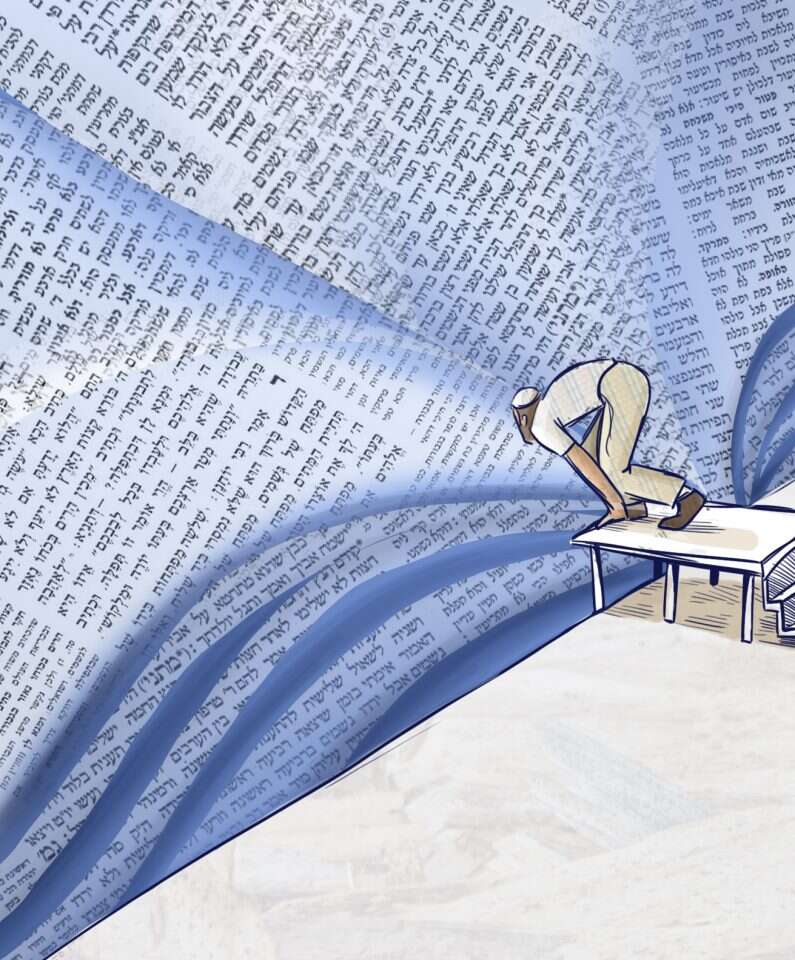 איור: נעמה להב