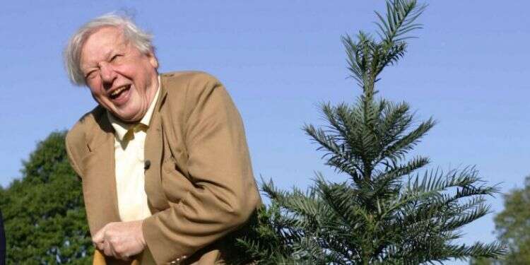 ידוען של חובבי טבע ושומרי איכות סביבה. דיוויד אטינבורו נוטע עץ בגני קיו בלונדון, 2005. צילום: AF