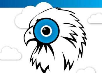 בז ברשת: מיליוני עוקבים אחרי גוזל של נשר