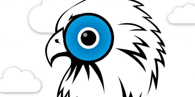 בז ברשת: מיליוני עוקבים אחרי גוזל של נשר