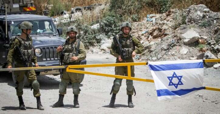 חיילי צה הדחפור הוליד עכבר: בלבול, שמשיות ודגלי אש"ף בהפגנת השמאל