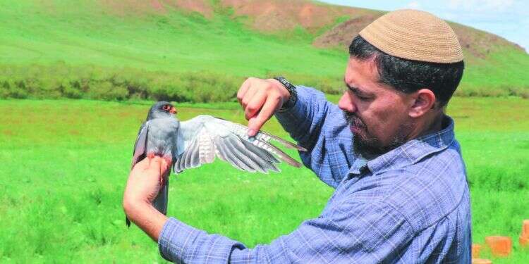 צילום: יצחק כהן