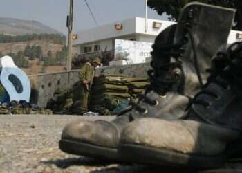 ימי מילואים (ג)