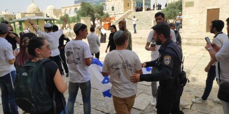 יום ירושלים בהר הבית, תשפ מטיף אל-אקצא: "השימוש בכוחות השמירה מבהיר כי המסגד אינו מקום של היהודים"