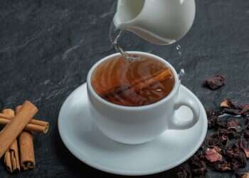 חליטות של ויסוצקי – לא רק חם, אפשר גם קר!