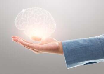 לימודי פסיכולוגיה