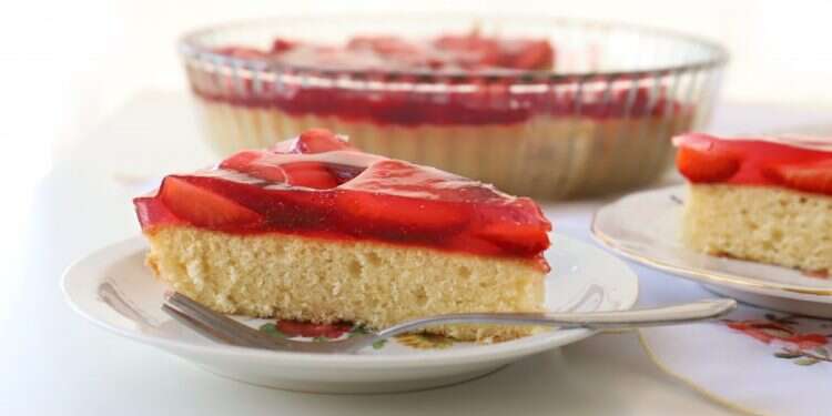 עוגת ג'לי. צילום: אפרת ליכטנשטט צילום: אפרת ליכטנשטט