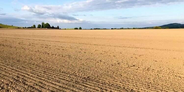 צילום: שאטרסטוק לשמוט הכול