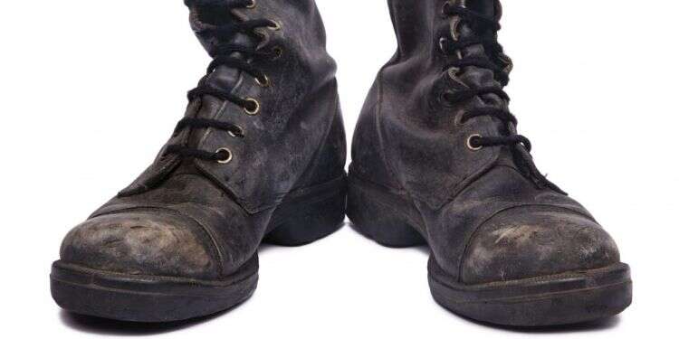 צילום: שאטרסטוק ימי מילואים (א)