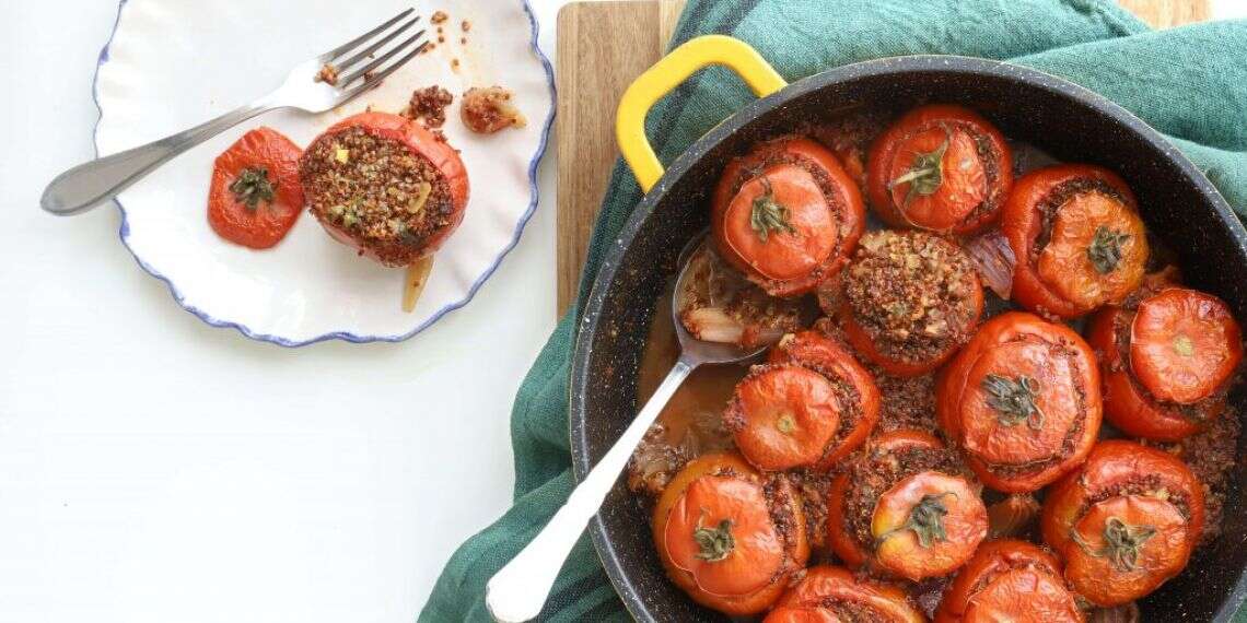 צילום: אפרת ליכטנשטט