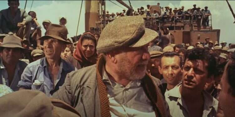 אחד משלנו: כשהציונות זוכה לאהדה, בישראל מחזירים אהבה