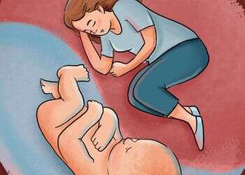 איור: נעמה להב