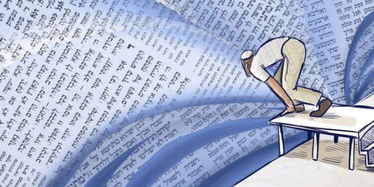 איור: נעמה להב איור: נעמה להב