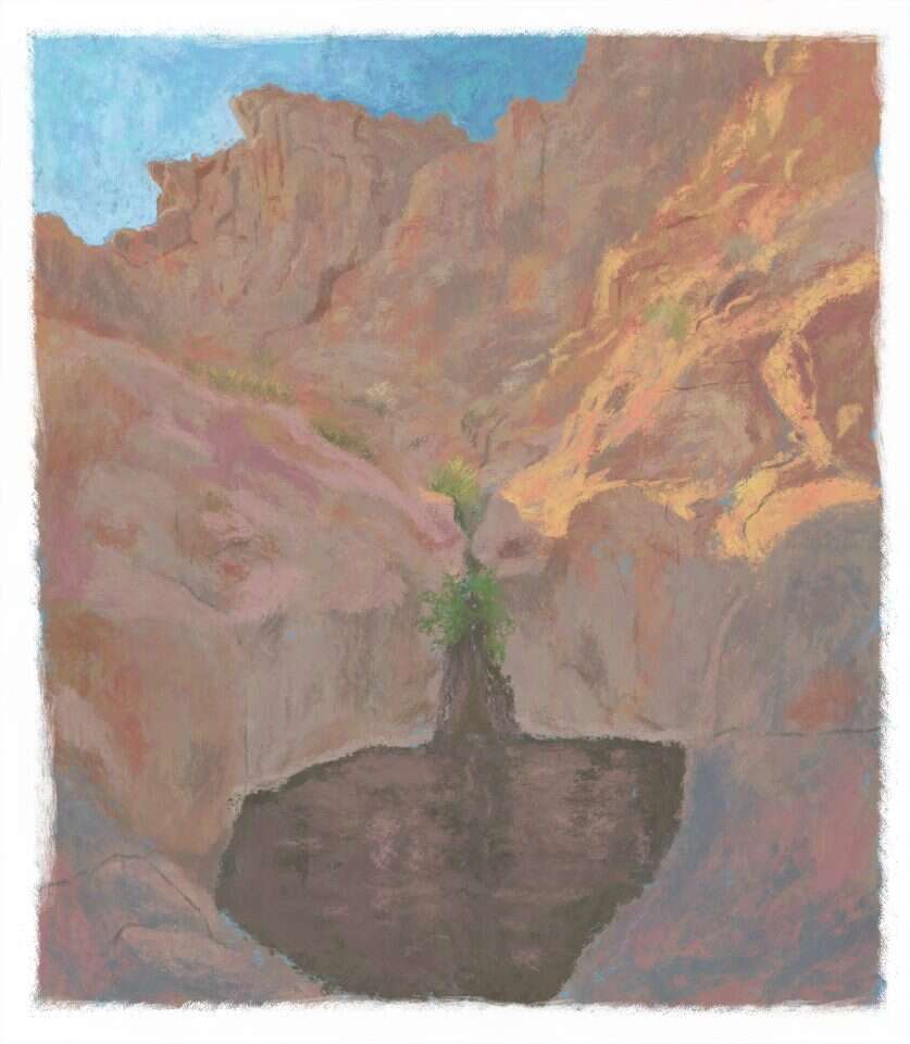 איור: מנחם הלברשטט