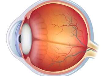 אבחון מחלות עיניים: מהצעדים החשובים ביותר עבור הראייה שלכם