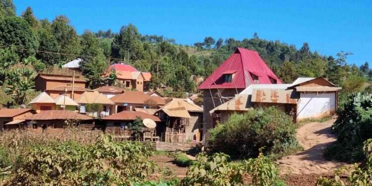 בדרך לגימנסיה: הישראלים שבונים מחדש את טנזניה