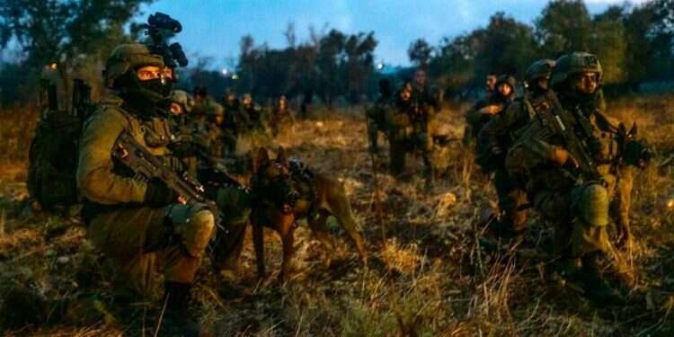לוחמי צה "עבודת הסיכול לא הסתיימה": 21 פלסטינים נעצרו על ידי כוחות צה"ל ושב"כ