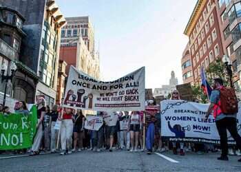 למרבה האירוניה, הפסיקה בנוגע להפלות היא חבל הצלה לדמוקרטים