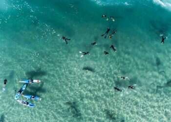 צילום: בר שטרנבך