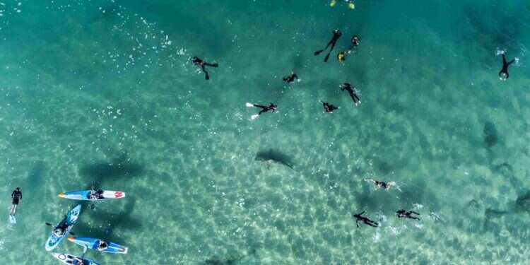 צילום: בר שטרנבך