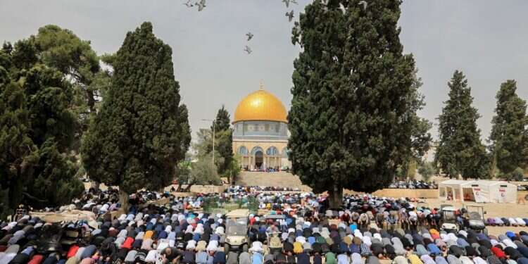 "מרחבא, אני יהודי פלסטיני": חזונו הציוני שמבלבל את הימין והשמאל
