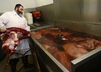 תעלומת בית הספר לשחיטה