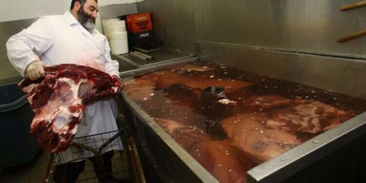 בית מטבחיים באונטריו, קנדה (אילוסטרציה). צילום: גטי אימג'ס תעלומת בית הספר לשחיטה