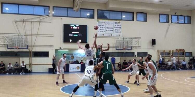 צילום: אליצור מ